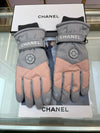 CH* new ski gloves