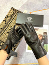 V  new autumn and winter gloves