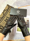 V  new autumn and winter gloves