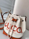 C 24 new bucket bag