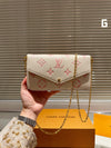 LV/Louis Vuitton classic bag